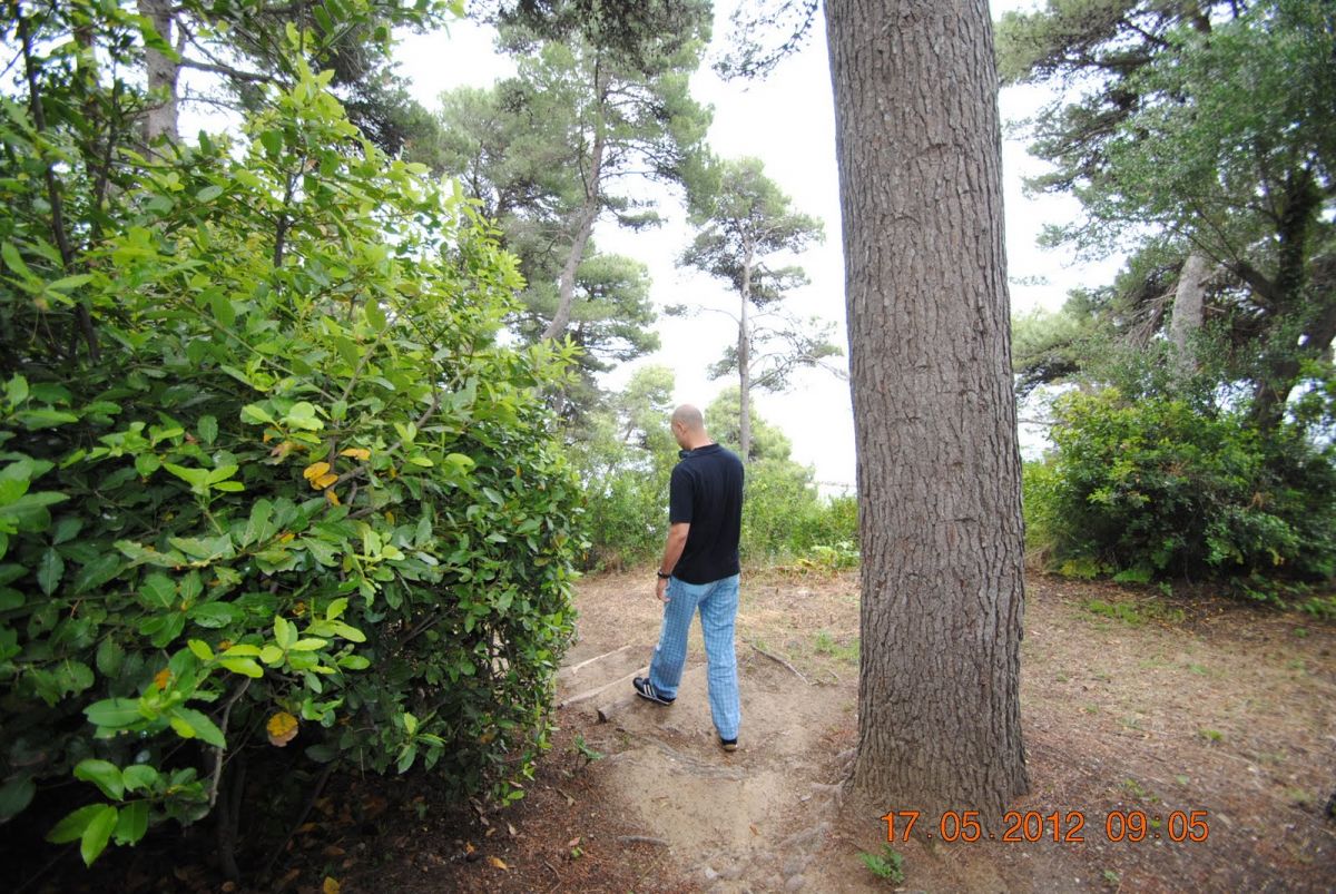 imagini hotel CORFU HOLIDAY PALACE